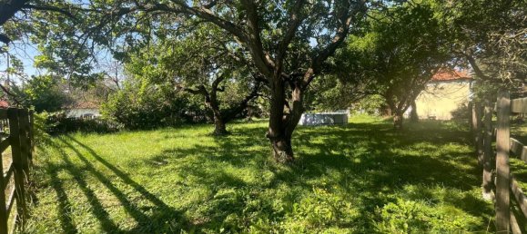 Terrain à Traiskirchen, Austria No. 209219 5