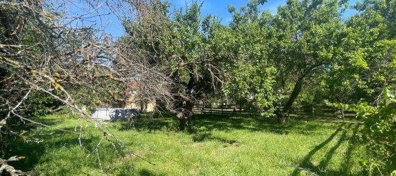 Terrain à Traiskirchen, Austria No. 209219 6