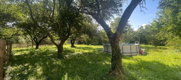 Terrain à Traiskirchen, Austria No. 209219 4