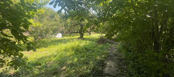 Terrain à Traiskirchen, Austria No. 209219 3