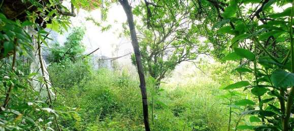 Дом с 3 спальнями в Вила Нова ди Пояриш, Португалия № 161795 23