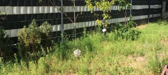 3 bedrooms Duplex in Buckow, Germany No. 112622 24