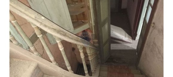 Casa T1 em Rossas, Portugal N.º 184350 19