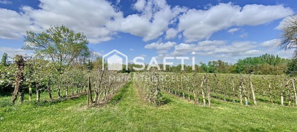 5 bedrooms House in Saint-Hilaire-Saint-Mesmin, France No. 239084 11