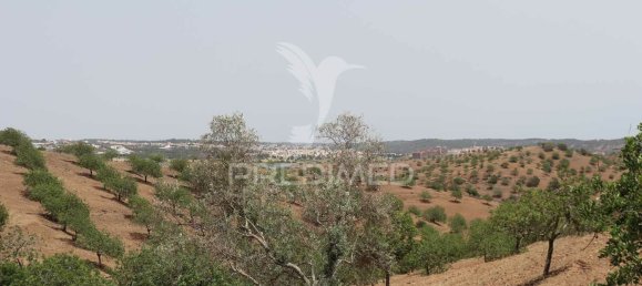 Grundstück in Azinhal, Portugal 1623m², Nr. 135532 18