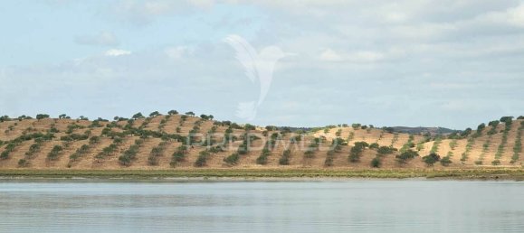 Grundstück in Azinhal, Portugal 1623m², Nr. 135532 21