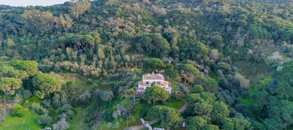 12 bedrooms House in Palmela, Portugal No. 160033 3