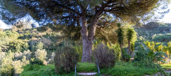 12 bedrooms House in Palmela, Portugal No. 160033 47