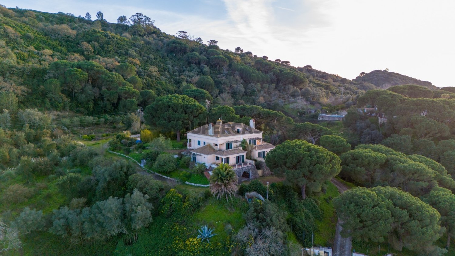 12 bedrooms House in Palmela, Portugal No. 160033