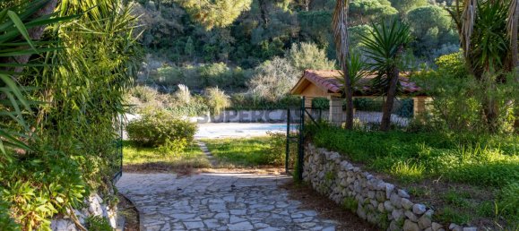 12 bedrooms House in Palmela, Portugal No. 160033 48