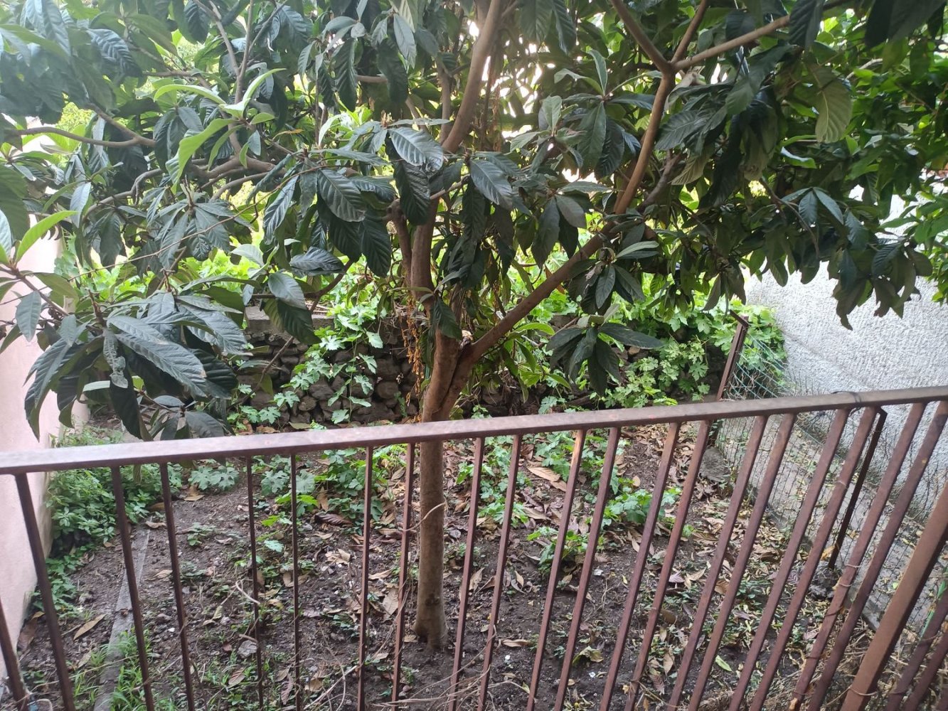 Imóvel comercial em Gravina di Catania, Italy 55 m² N.º 176379