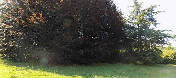 20 Schlafzimmer Haus in Arona, Italy, Nr. 372360 7