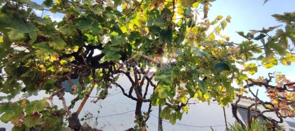 5 غرف نوم منزل في Guia de Isora, Spain رقم 130525 41