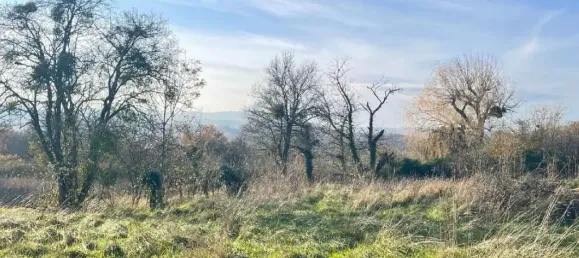 Grundstück in Charnay-les-Macon, France 2396m², Nr. 297093 2