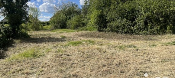  Land in Chemille-sur-Deme, France No. 217896 5