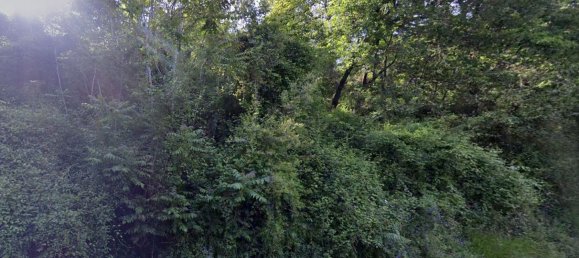 Земельный участок 6200м² в Ламеция Терме, Италия № 140362 4