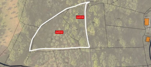 Земельный участок 6200м² в Ламеция Терме, Италия № 140362 5