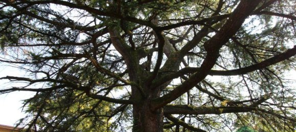 7غرفة بناية في Udine, Italy رقم 18146 16