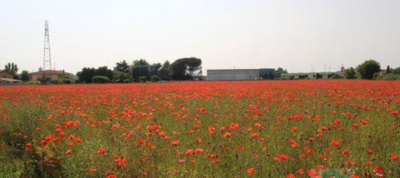 7غرفة بناية في Udine, Italy رقم 18146 13