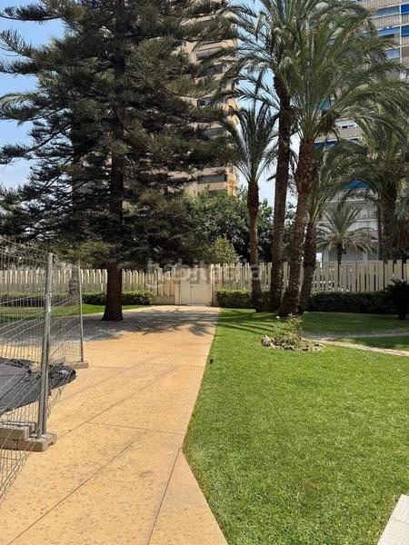 2 chambres Appartement à Alicante, Spain No. 221304