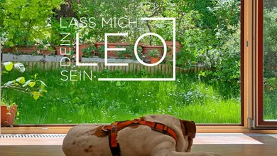 4غرفة تاون هاوس في Liesing, Austria رقم 137087