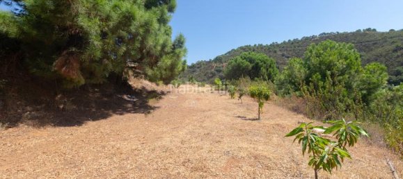 Terreno em Estepona, Spain 5000 m² N.º 168206 19
