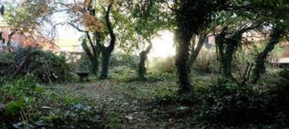 Studio in Pieve a Nievole, Italy No. 145563 14