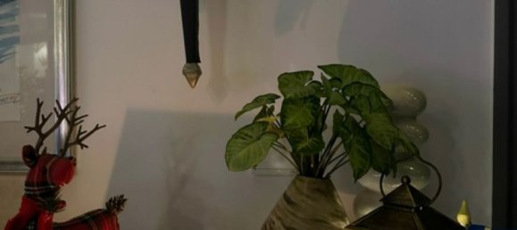 1 bedroom Apartment in Binh Thanh, Vietnam No. 17801 12