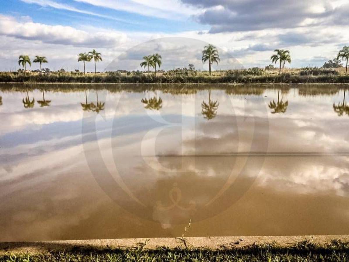  Land in Tigre, Argentina No. 47099