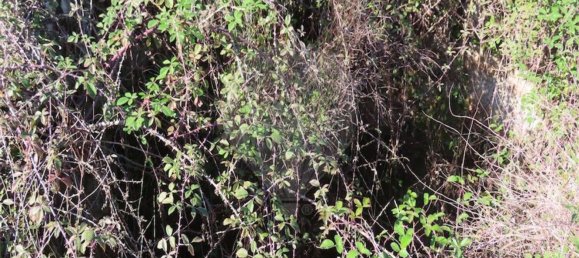 1 غرف نوم منزل في Fundao, Portugal رقم 83747 30