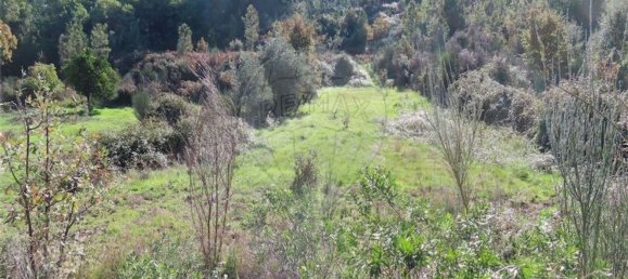 1 غرف نوم منزل في Fundao, Portugal رقم 83747 34