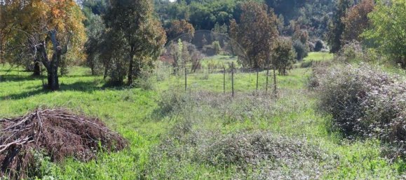 1 غرف نوم منزل في Fundao, Portugal رقم 83747 26