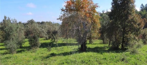 1 غرف نوم منزل في Fundao, Portugal رقم 83747 28