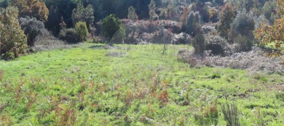 1 غرف نوم منزل في Fundao, Portugal رقم 83747 35