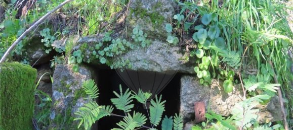 1 غرف نوم منزل في Fundao, Portugal رقم 83747 18