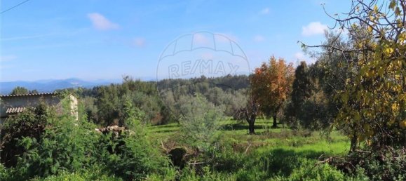 1 غرف نوم منزل في Fundao, Portugal رقم 83747 23