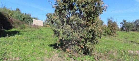 1 غرف نوم منزل في Fundao, Portugal رقم 83747 33