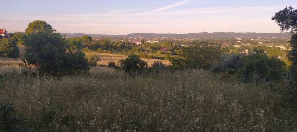 Grundstück in Tomar, Portugal 1502m², Nr. 79600 3