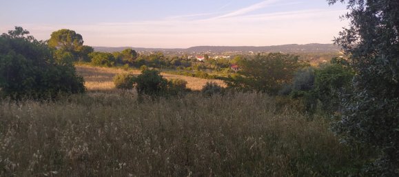 Grundstück in Tomar, Portugal 1502m², Nr. 79600 4