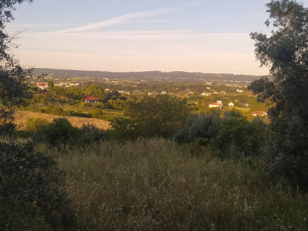 Grundstück in Tomar, Portugal 1502m², Nr. 79600