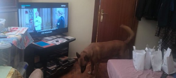 3 chambres Appartement à Torrent, Spain No. 154732 12