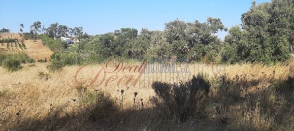 5400m² Land in Vila do Bispo, Portugal No. 57398 3