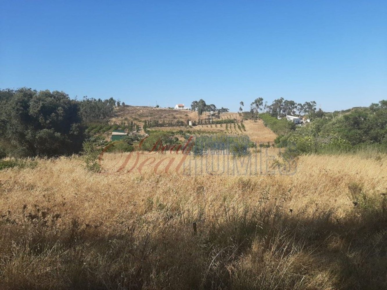 5400m² Land in Vila do Bispo, Portugal No. 57398
