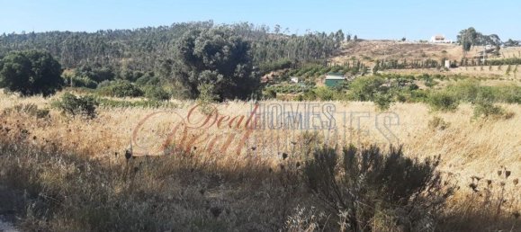 5400m² Land in Vila do Bispo, Portugal No. 57398 6