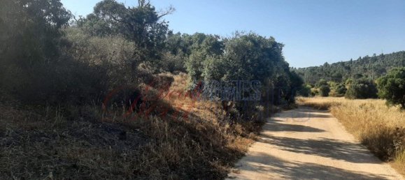 5400m² Land in Vila do Bispo, Portugal No. 57398 5