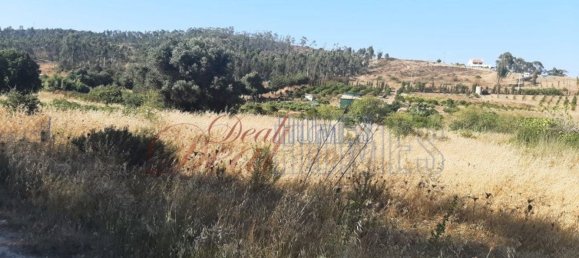 5400m² Land in Vila do Bispo, Portugal No. 57398 4