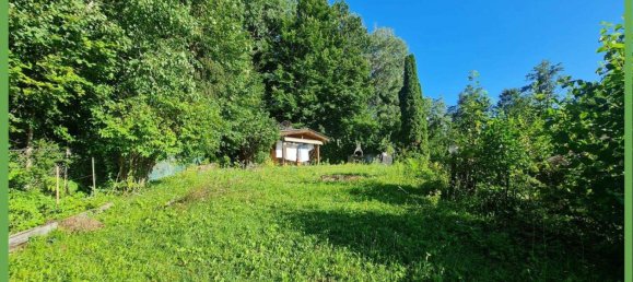 Коммерческая недвижимость 300м² в Мария Райн, Австрия № 151078 2