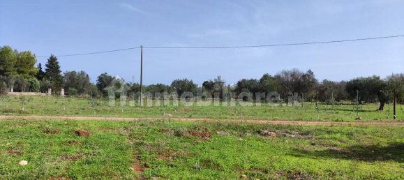 3 غرف نوم فيلا في Sannicola, Italy رقم 59648 13