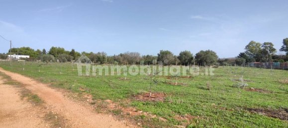 3 غرف نوم فيلا في Sannicola, Italy رقم 59648 8