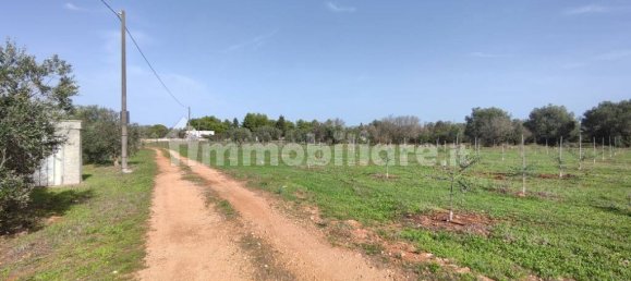 3 غرف نوم فيلا في Sannicola, Italy رقم 59648 9